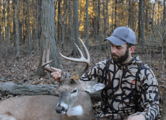 Arrow Dynamics: Worth the Weight