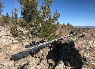 Cooper Firearms Open Country LR Rifle Review Cooper Open Country LR