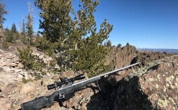 Cooper Firearms Open Country LR Rifle Review Cooper Open Country LR