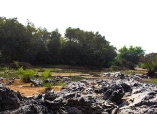 In The Spirit of a Good Hunt