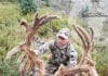 Pending World Record Archery Mule Deer