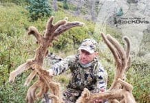 Pending World Record Archery Mule Deer