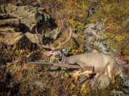 Cooper 22ML Muzzleloader Review