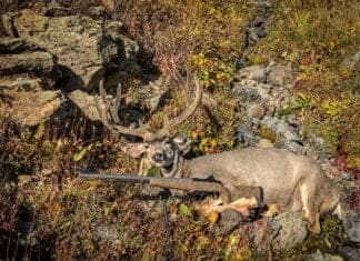 Cooper 22ML Muzzleloader Review