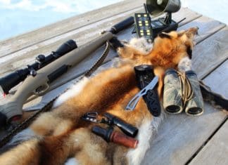 Predator Hunting Tactics