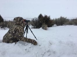 Review: First Lite Brooks Down Glassing Mitt