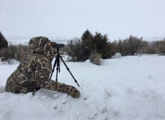 Review: First Lite Brooks Down Glassing Mitt