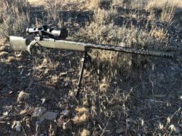 Snowy Mountain Rifles Alpine Hunter Review
