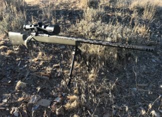 Snowy Mountain Rifles Alpine Hunter Review