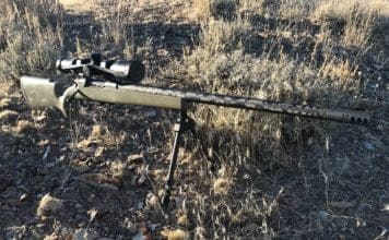 Snowy Mountain Rifles Alpine Hunter Review