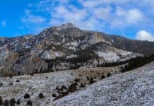 Scouting A New Area: Tips from a Pro