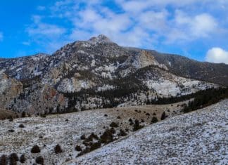 Scouting A New Area: Tips from a Pro