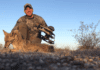 Bowhunting Coyotes In The Off Season