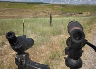 Maven S.2 vs Nikon ED-50 Compact Spotting Scopes with Robby Denning