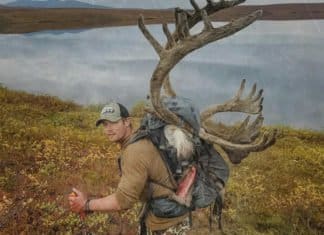 DIY Alaska with Shaun Smith