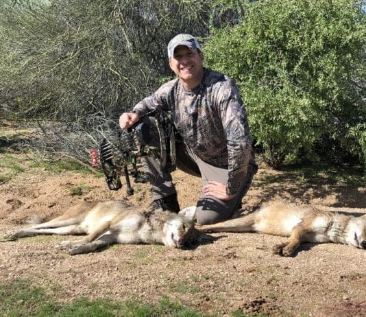 How To Bowhunt For Predators