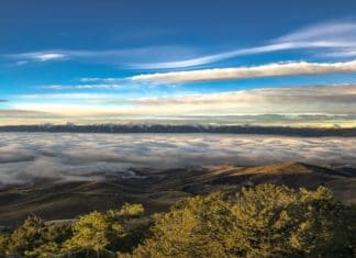 The Name of the Game