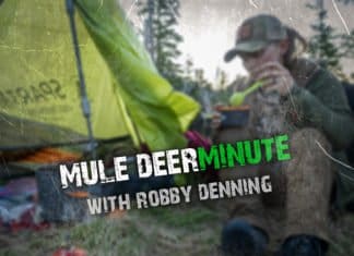 Tipsy Tuesday Mule Deer Minute – September 3
