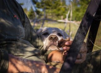 Tipsy Tuesday – August 13th