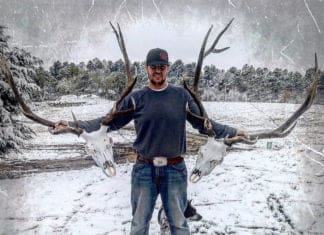 DIY European Mounts plus Velvet and Hide Care with Dalton Wolkow