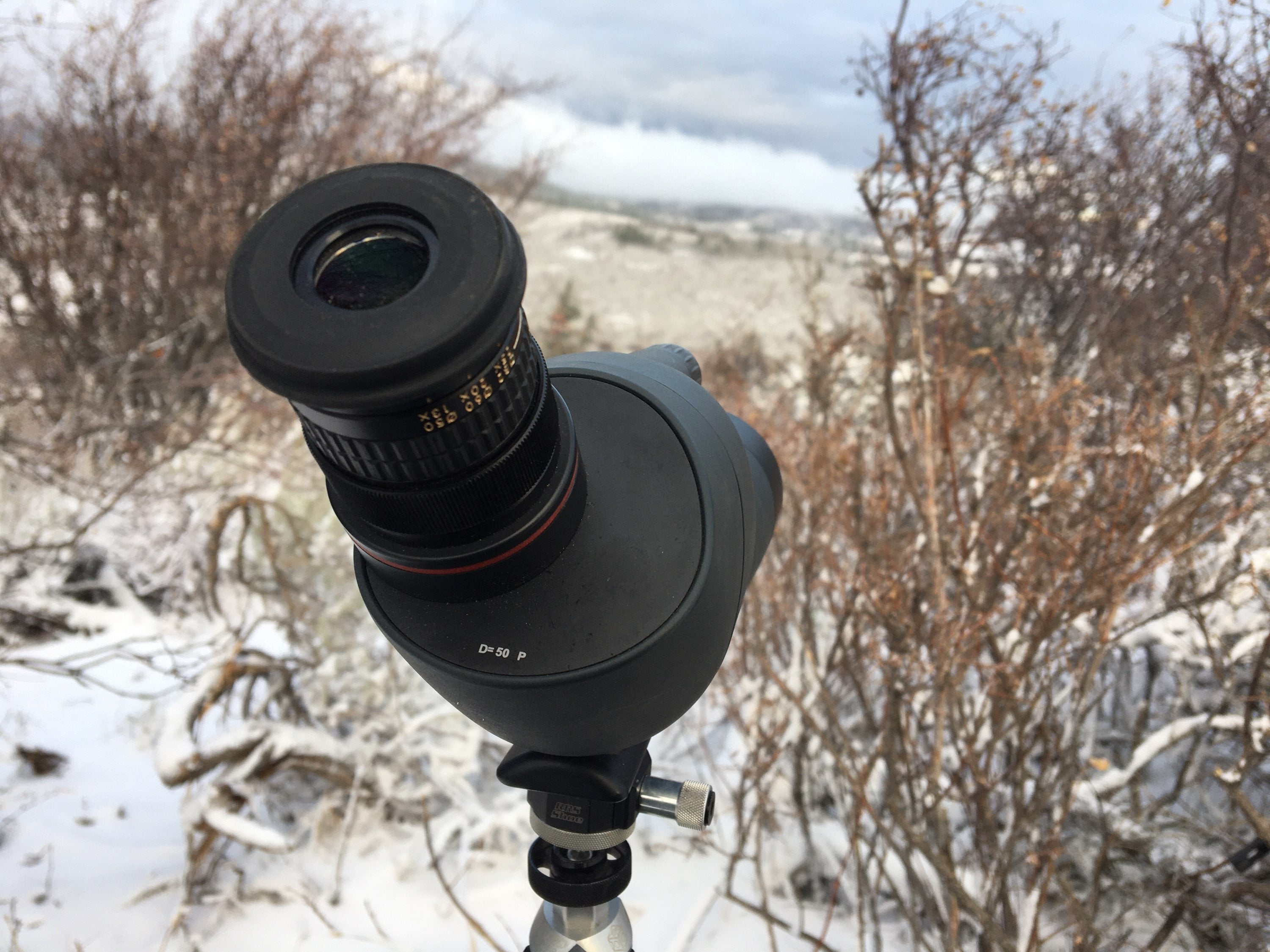 Nikon Fieldscope Ed 50mm Compact Spotter Review Rokslide