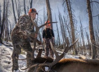 Tipsy Tuesday – October 22