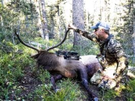 Mathews Traverse Bow Review