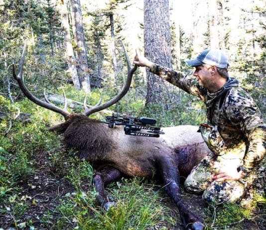 Mathews Traverse Bow Review