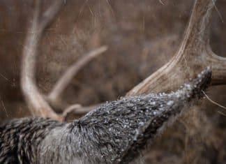 Tipsy Tuesday – November 5