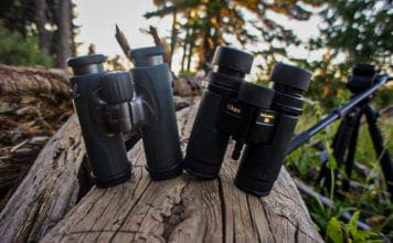 Nikon HG vs Swarovski CL Compact Binocular Review