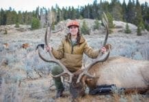 Pack Goats For Backcountry Hunting