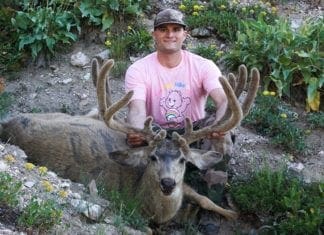 Replaceable Blade Knife Comparison