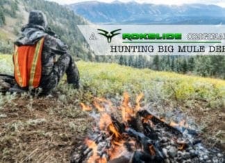 Hunting Big Mule Deer–the film