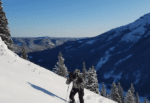 Alberta Mule Deer Hunt