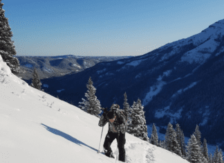 Alberta Mule Deer Hunt