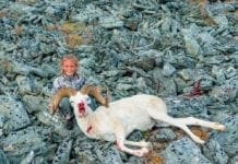 Aubrey’s First Sheep Hunt