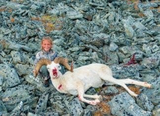 Aubrey’s First Sheep Hunt