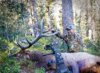 September Elk with Les Welch