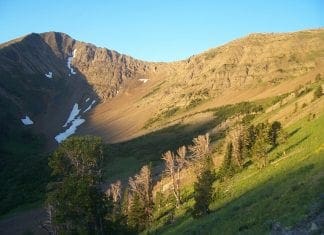 Early Season Scouting