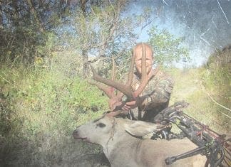 Scouting in June? with Jim Carr