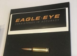Eagle Eye Ammo Review