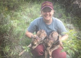 Wildlife Biologist, Sydney Lamb with Robby Denning