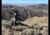 Mule Deer Muzzleloader Hunt: Film Release