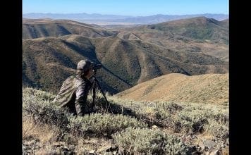 Mule Deer Muzzleloader Hunt: Film Release