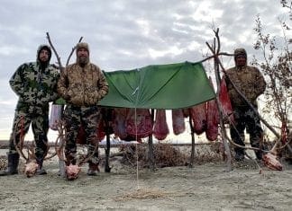 Alaska Caribou Hunt