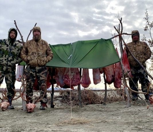 Alaska Caribou Hunt