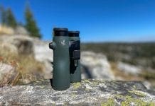 Swarovski NL Pure 12×42 Binocular Review