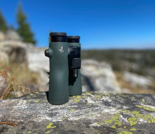 Swarovski NL Pure 12×42 Binocular Review