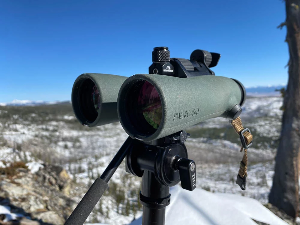 Swarovski NL Pure with Outdoorsman's panhead
