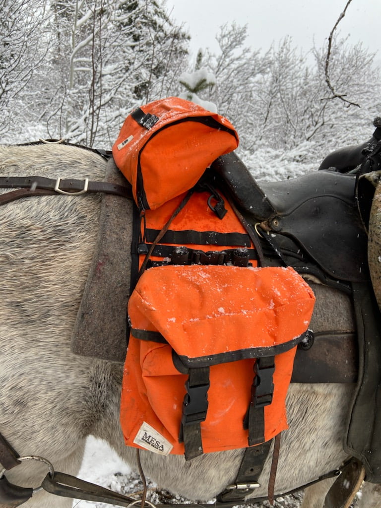 TrailMax Canvas Horse Saddle Bag for Trail Riding India  Ubuy